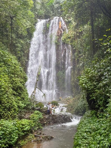 A waterfall surrounded by dense forest. 4