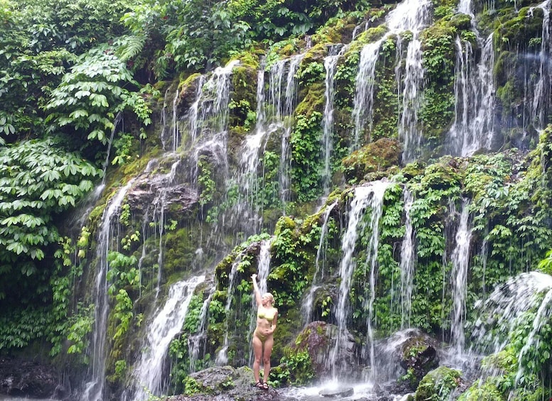 A waterfall with dense foliage and a person standing at the base. 1