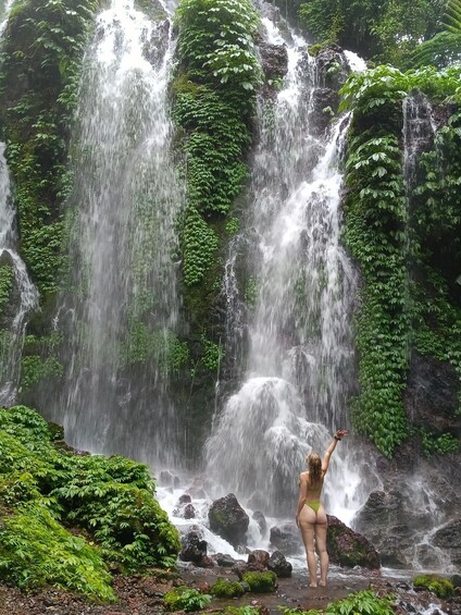 A waterfall surrounded by lush greenery. 3
