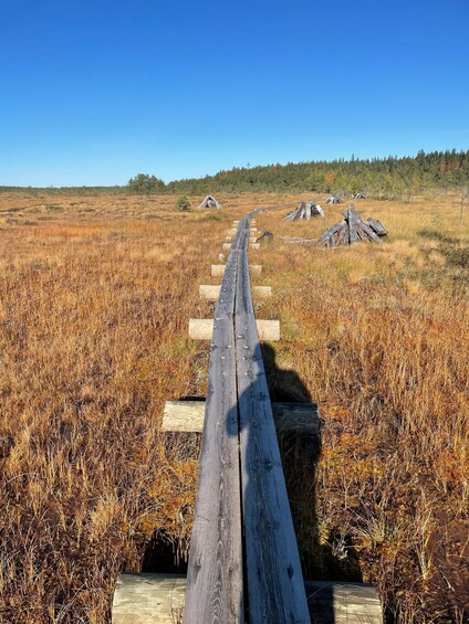 A wooden boardwalk leading through a dry grass field with scattered wooden structures in the distance. 2