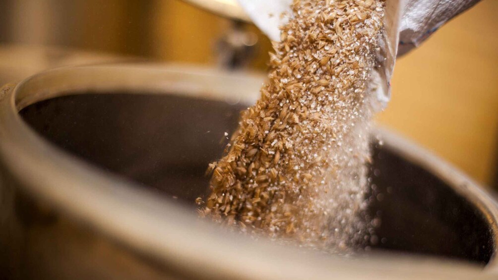 A close-up of a granular substance being poured into a container. 3