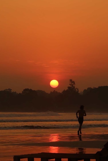 Picture 4 for Activity Weligama Bay: Surf Lesson with Beach Club Access 2
