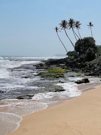Picture 6 for Activity Weligama Bay: Surf Lesson with Beach Club Access 2