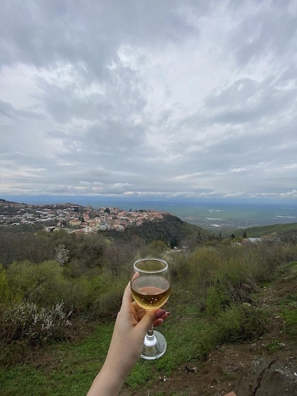 A hand holding a wine glass with a view of a coastal town and hills in the background. 3