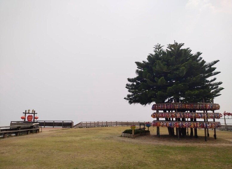 Picture 9 for Activity PAI: 1 Day Trip all inclued 3
