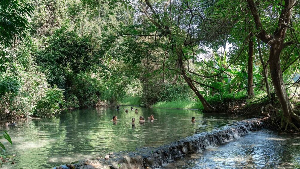 Picture 6 for Activity PAI: 1 Day Trip all inclued 4