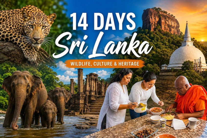 A leopard, elephants, a temple, and people dining outdoors in Sri Lanka. 1