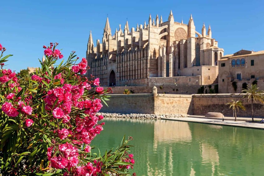A historic cathedral with Gothic architecture, a calm water body in the foreground, and vibrant pink flowers. 1
