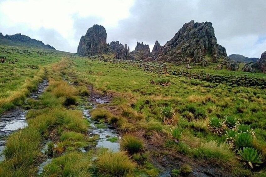 A grassy field with a stream and rocky outcrops in the distance. 2