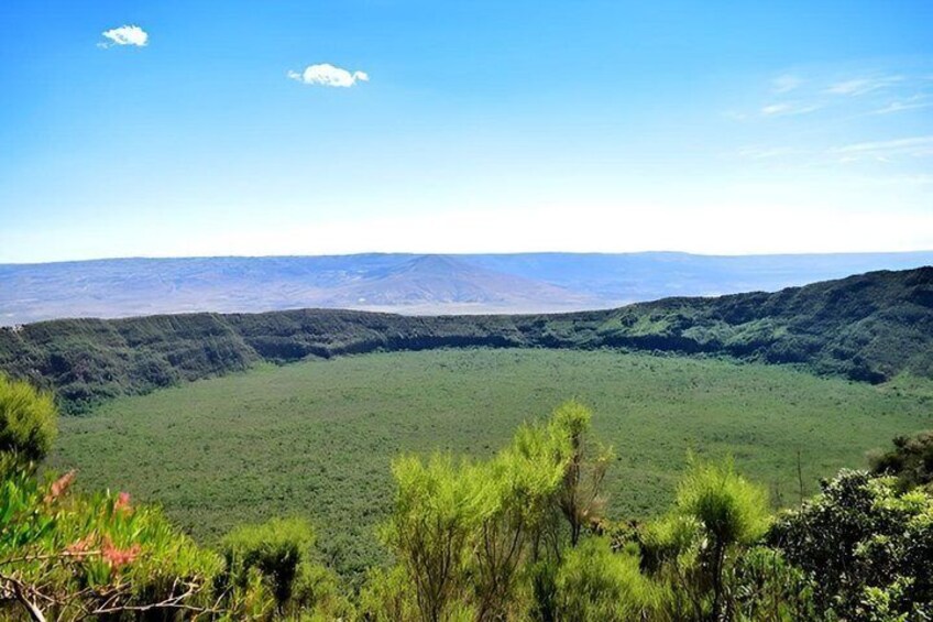 A valley with green vegetation and distant mountains under a clear sky. 4