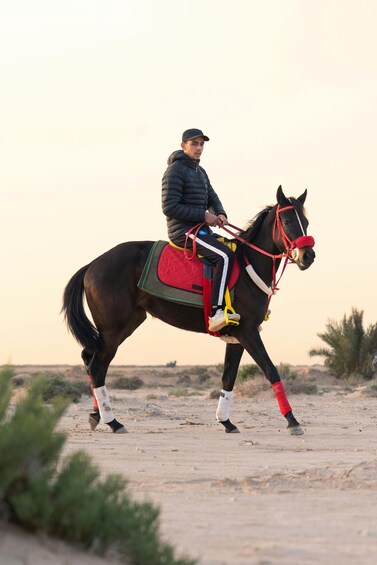 A person riding a horse in a desert landscape. 3