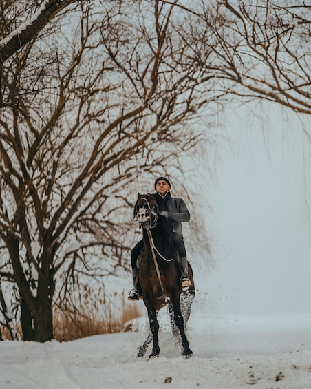 A person riding a horse through a snowy landscape with bare trees. 3