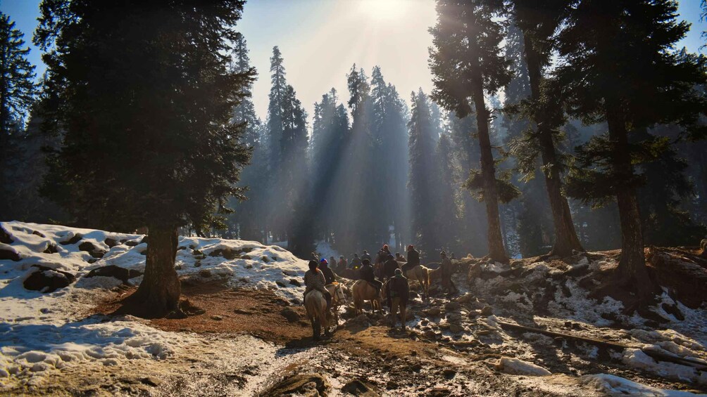 A group of people on horseback in a snowy forest with sunlight filtering through the trees. 2