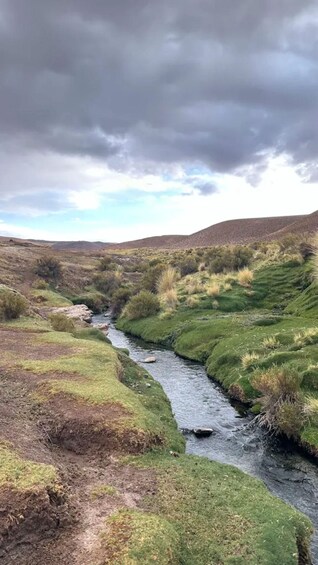 A river winding through a grassy valley with hills in the background under a cloudy sky. 4