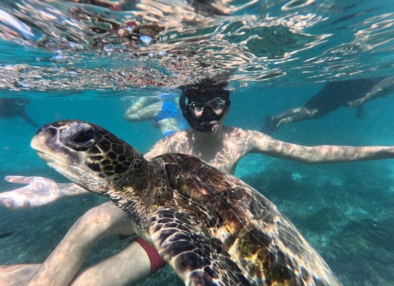 A person swimming with a sea turtle, surrounded by clear blue water. 4
