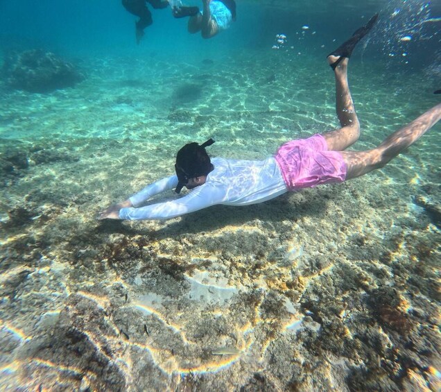 Picture 12 for Activity BlueWhale Oman: Swim with Turtles at Dimaniyat Islands 4