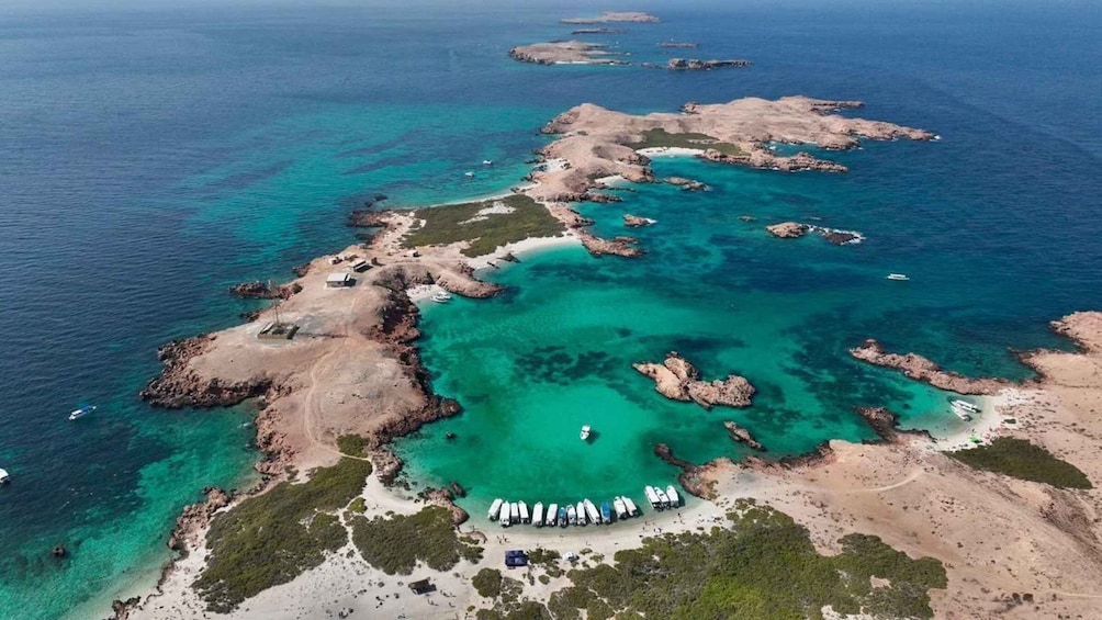 Picture 15 for Activity BlueWhale Oman: Swim with Turtles at Dimaniyat Islands 5