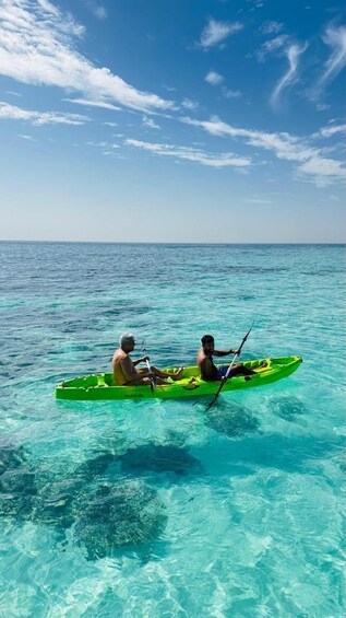 Picture 22 for Activity BlueWhale Oman: Swim with Turtles at Dimaniyat Islands 2