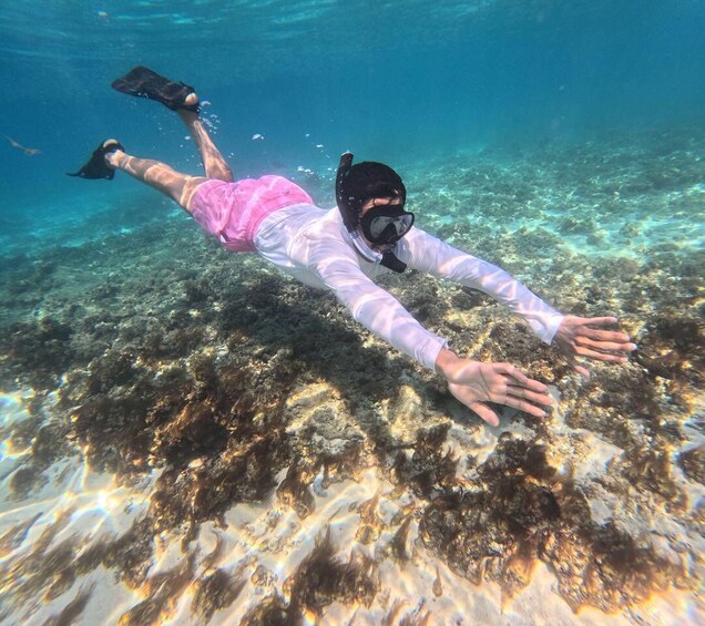 Picture 9 for Activity BlueWhale Oman: Swim with Turtles at Dimaniyat Islands 5