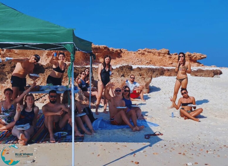 A group of people on a sandy beach with a green tent and rocky formations in the background. 3