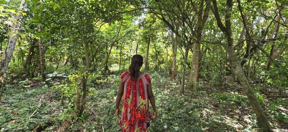 Harvest Botanical Gardens, Tastings & Local Life Experience 1