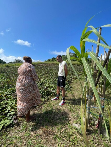 Harvest Botanical Gardens, Tastings & Local Life Experience 1