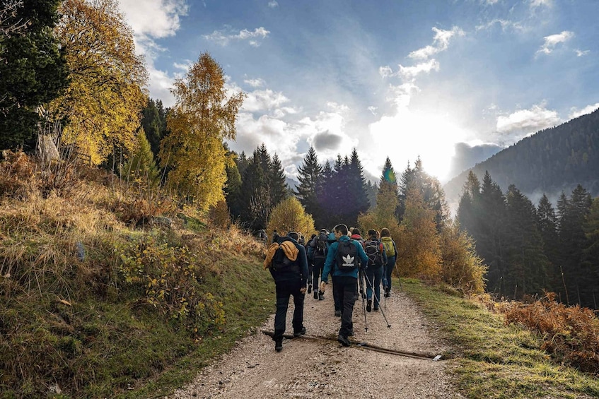 A group of hikers on a gravel path surrounded by autumn foliage and mountains. 5