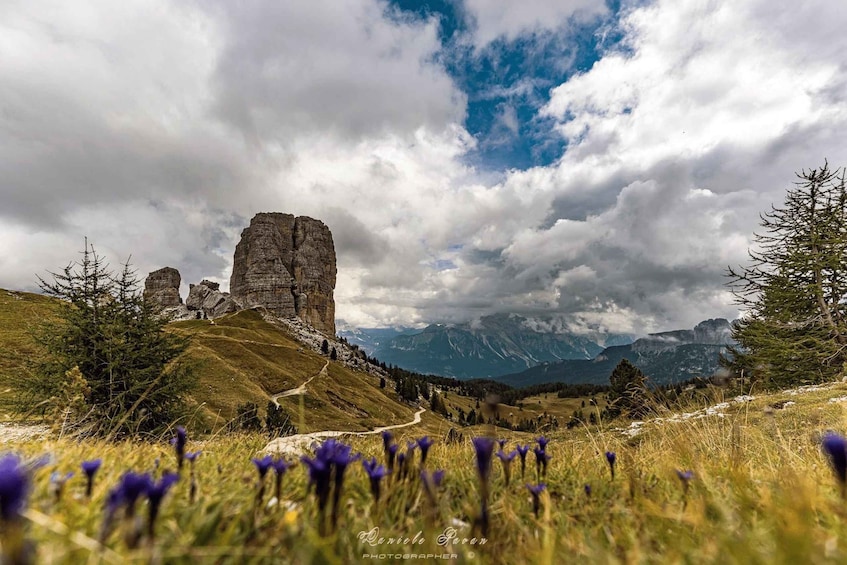 A mountainous landscape with a prominent rock formation, a winding path, and purple flowers in the foreground. 4