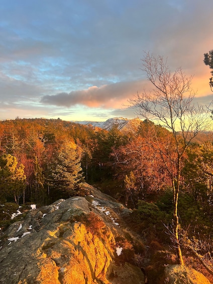 A mountainous landscape with autumn foliage, rocky terrain, and a clear sky. 2