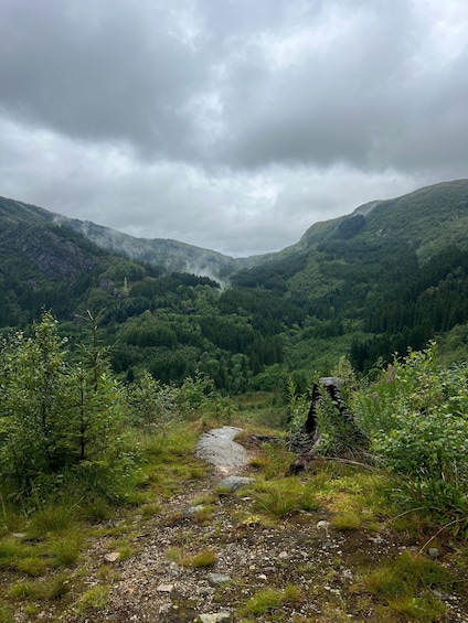 A mountainous landscape with a stream, dense forest, and a cloudy sky. 5