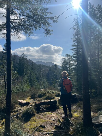 A hiker in a forested area with a mountainous backdrop and sunlight filtering through the trees. 3