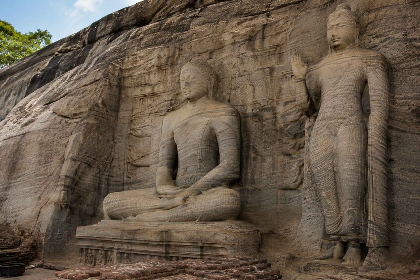 Picture 3 for Activity Day tour to Polonnaruwa from Sigiriya or Habarana 5