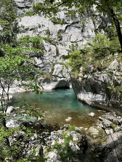 A clear stream flowing through a rocky gorge with dense foliage. 4