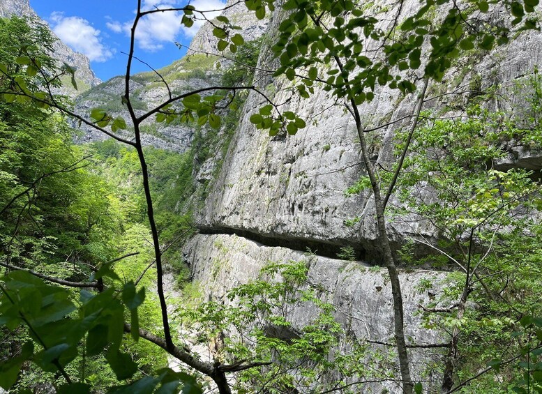 A rocky cliff with dense green foliage in the foreground. 1