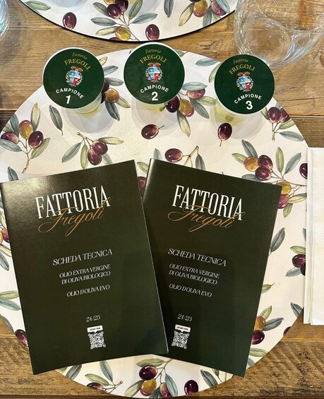 Three bottles of Fattoria Fregoli wine, two books titled 'SCHEDA TECNICA,' and a plate with a fruit pattern. 5