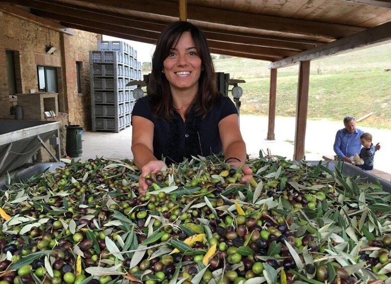 A person handling olives and olive branches in a covered outdoor area with a building in the background. 1