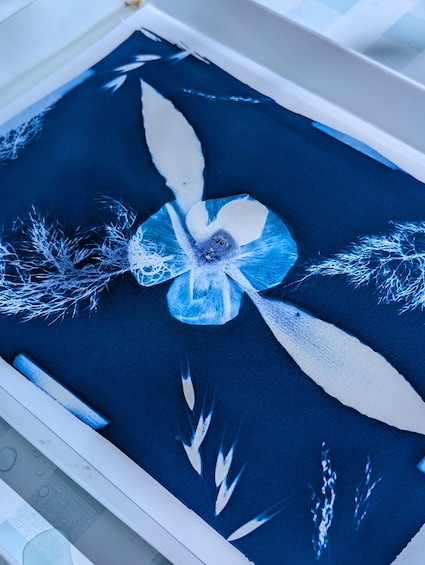 Picture 3 for Activity Cardedeu: Cyanotype Workshop with Snacks and Nature Walk 3