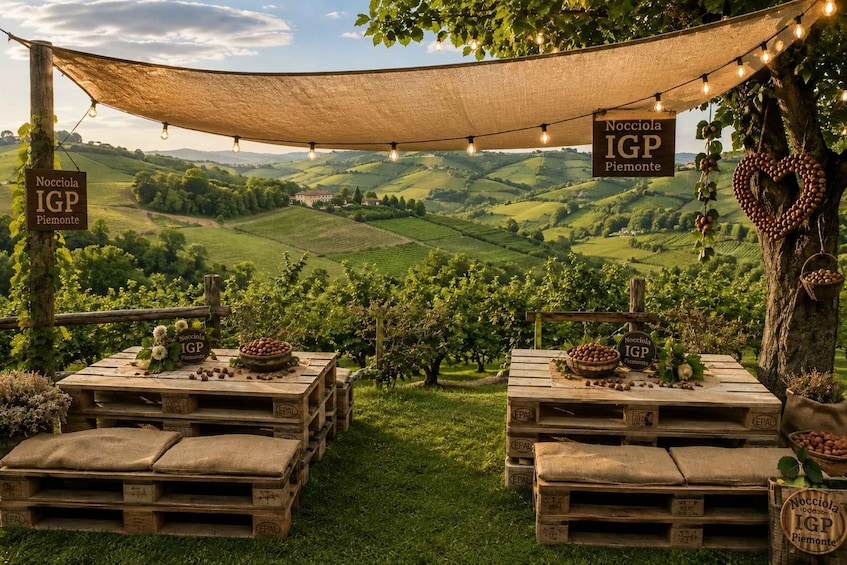 Castagnole delle Lanze: Food tasting in the hazelnut grove 2