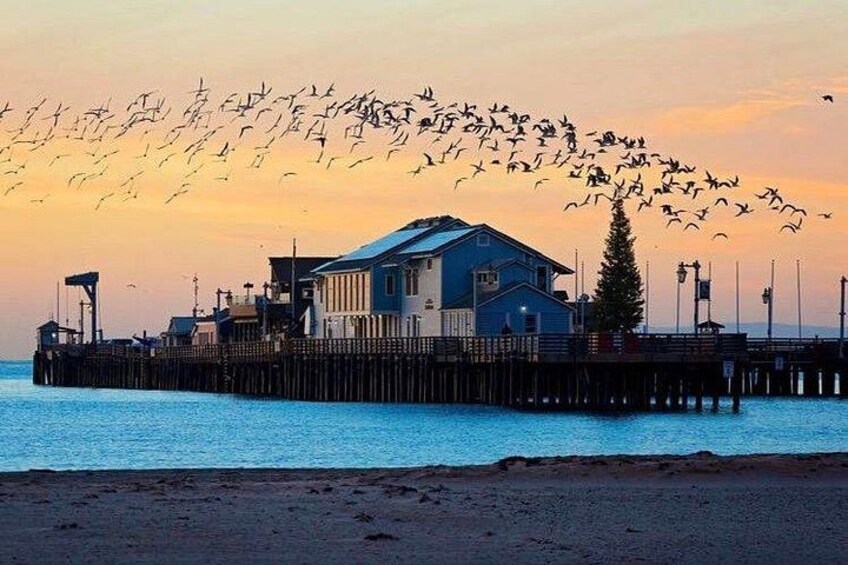 Stearns Wharf 2