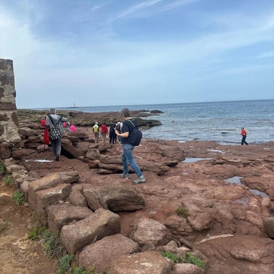 A rocky coastal area with people walking and standing. 2