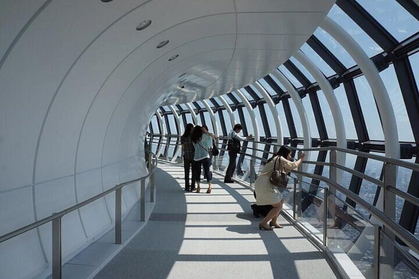 A curved glass walkway with people walking and taking photos. 4
