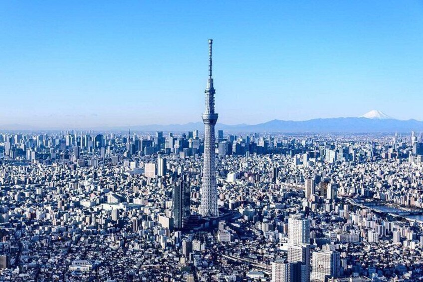 A cityscape with a prominent tower, dense urban buildings, and a mountain in the background. 2