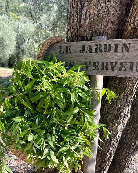 A wooden sign with 'LE JARDIN' and 'SERVEUR' written on it, surrounded by lush greenery. 4