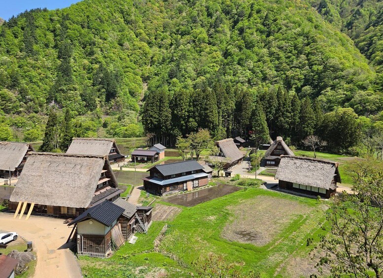 A traditional village with thatched-roof houses surrounded by lush greenery and hills. 3