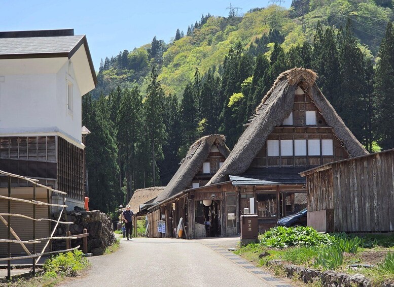 A traditional village street with thatched-roof houses, a white building, and a forested hillside in the background. 1