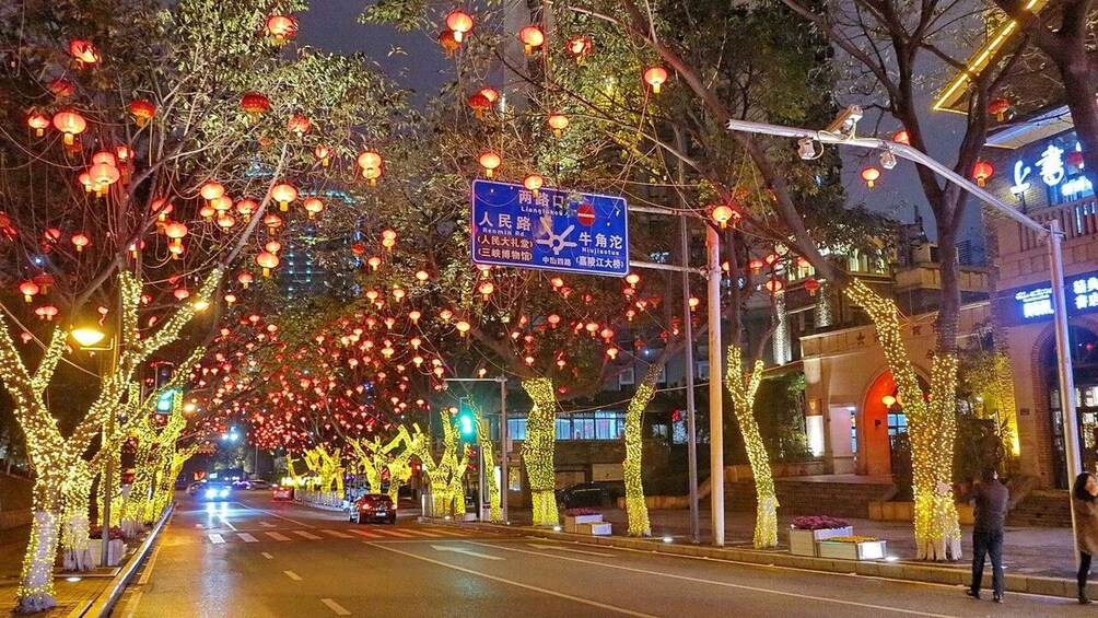 A tree-lined street at night with illuminated lanterns and street signs. 2