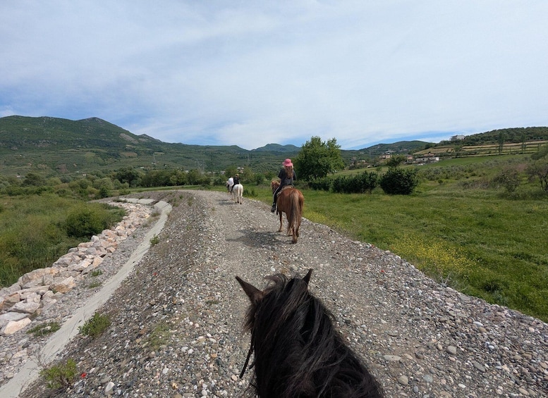A gravel path with horses and riders. 4