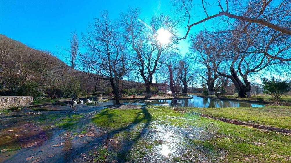 A park with a pond, trees, and a stone bridge. 1