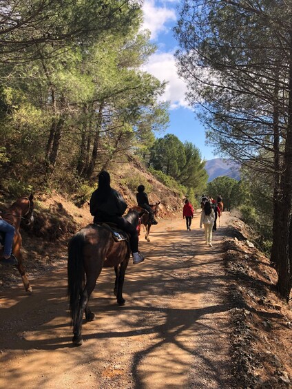 A dirt path with people walking and horseback riders. 2
