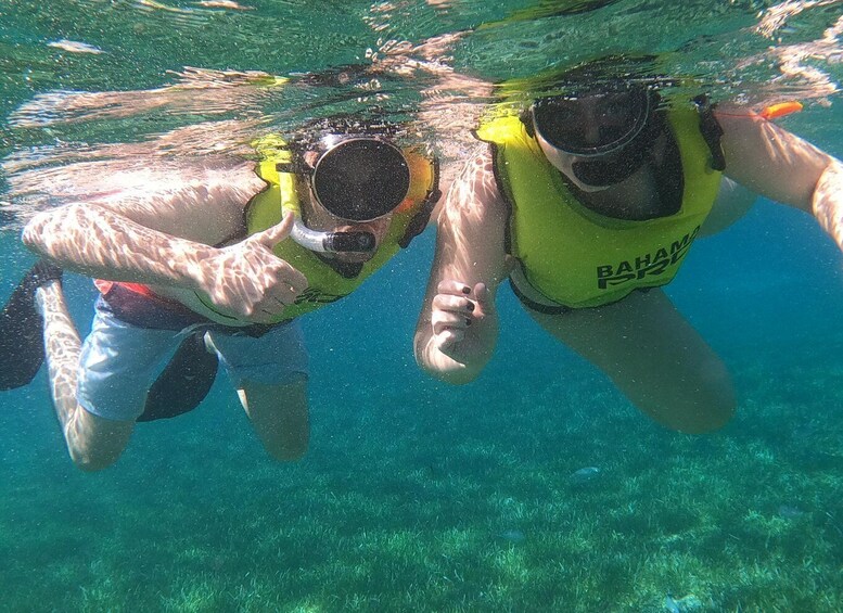 Two people snorkeling underwater, wearing yellow life vests and goggles. 5